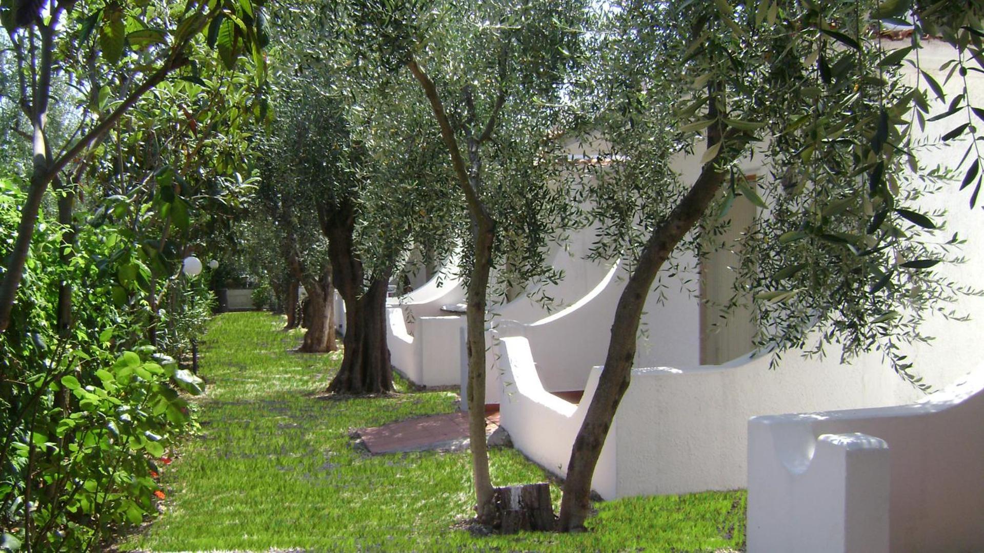 Il Melograno